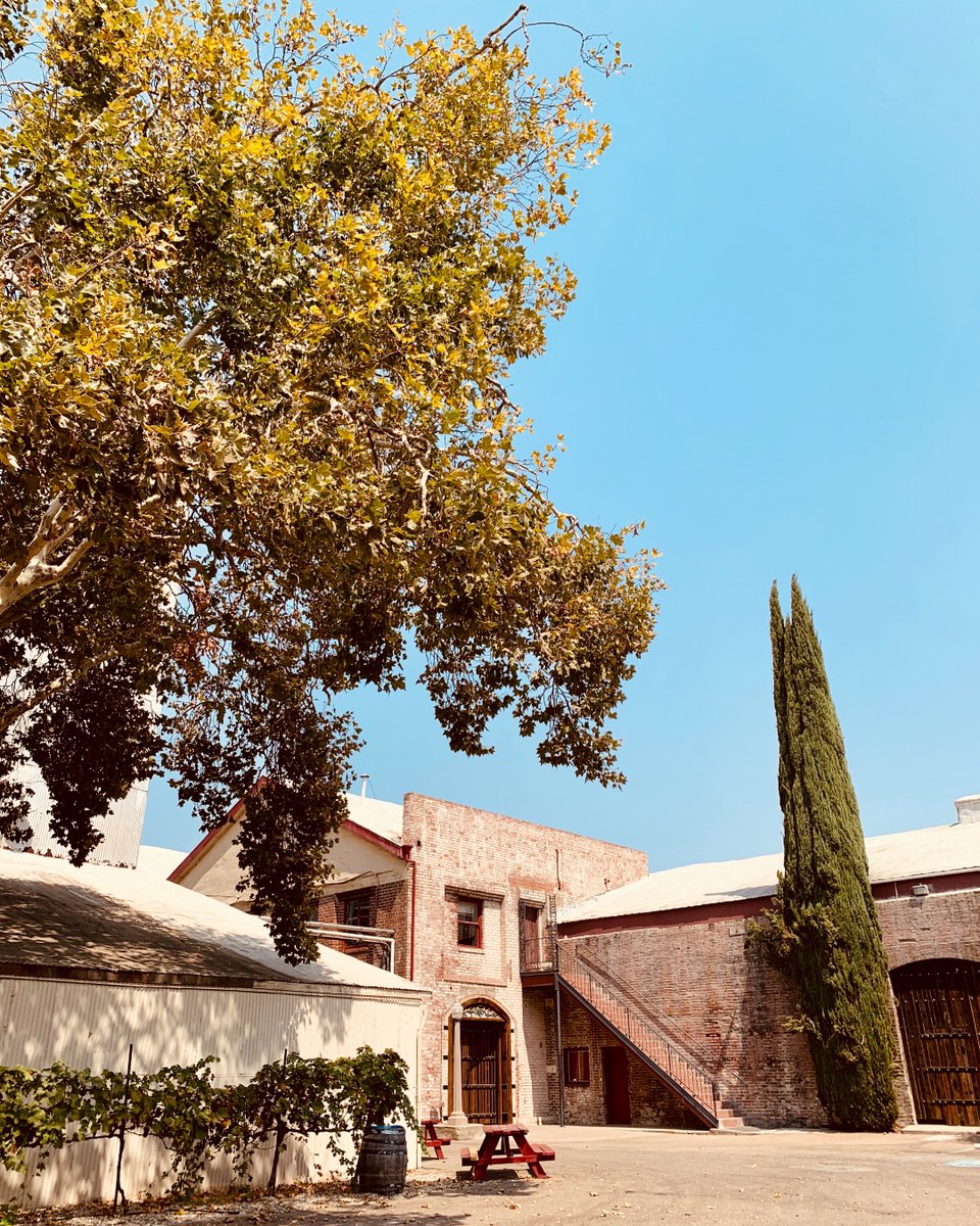 Hello, Blue Sky. Welcome back! We’ve missed you!

#bluesky #blueskies #septembersky #nature #appreciatenature #outdoorwinetasting #CaliforniaWine