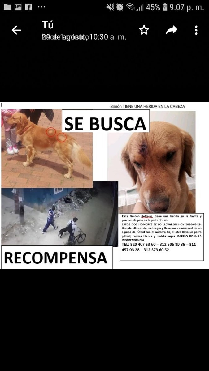 Lorena_623's tweet photo. @ELTIEMPO @NoticiasCaracol @NoticiasRCN @NoticiasRCN @rcnradio @NoticiasCaracol @JuanDiegoAlvira #buscandoasimon @SMILELOPEZ @RevistaSemana @el_pais @elespectador @extra @CanalCapital #3125063985 #LoUltimo  @AlcaldiadeBosa @Bogota https://t.co/8ZBCcNmpYg