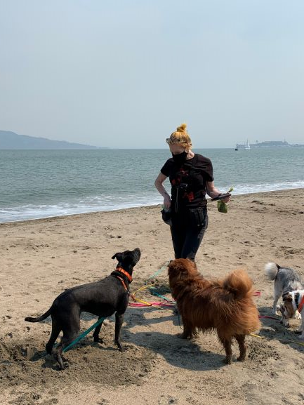 form_sf's tweet photo. Walking your dog is meant to be good for both of you! If you are a dog walker, try HeartForm in your mask to make breathing easier. The extra space between your mouth and the mask fabric makes a big difference in your comfort level. #SF #heartform #facemasks #maskbracket https://t.co/rEPnDFmGrZ