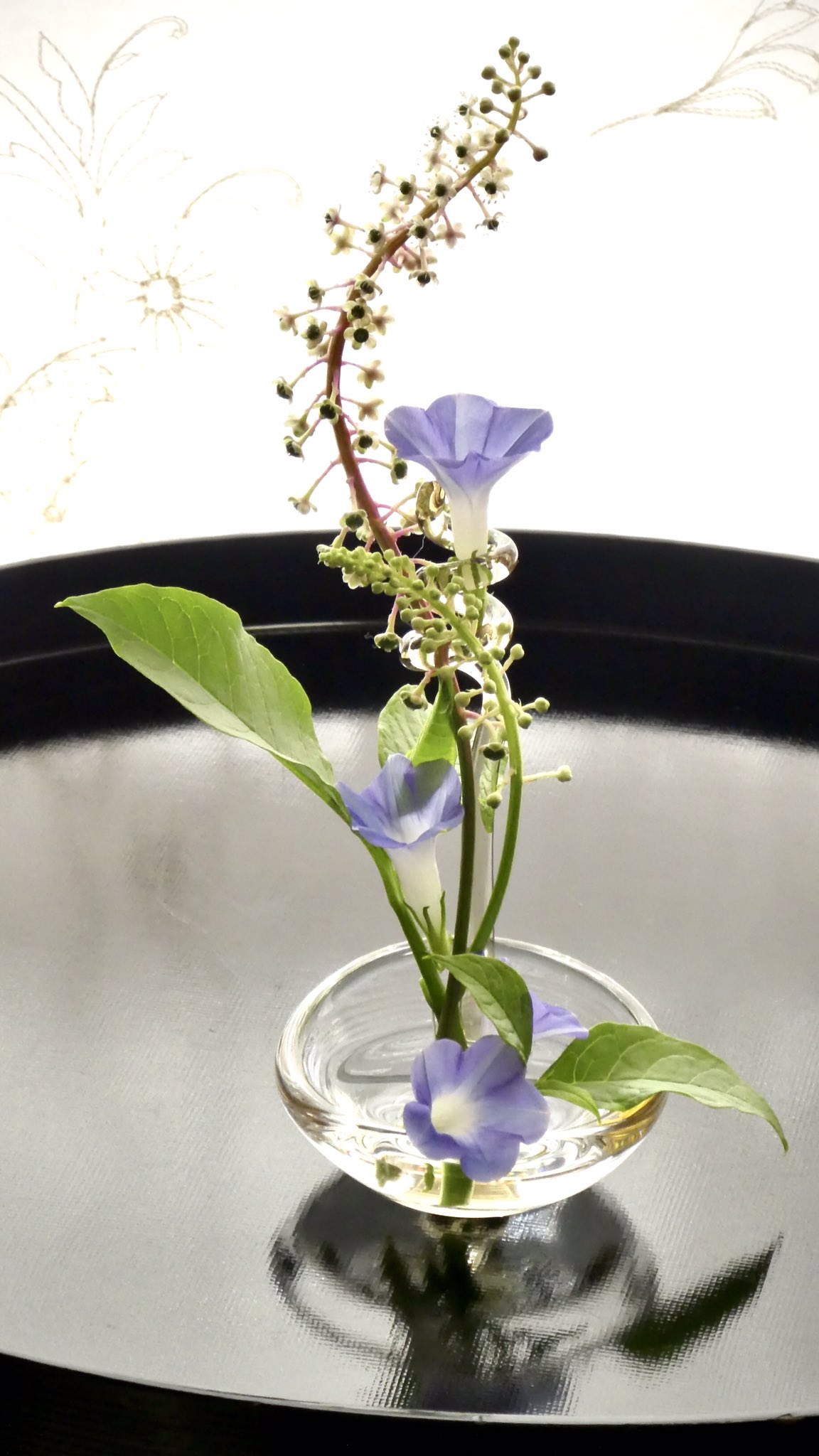 花好きバアさん V Twitter 9月3日 木 曇 毒の花 毒草だというヨウシュヤマゴボウ 見ているだけなら綺麗な花 濃い黒紫の実も良い 古家を壊した跡地に咲いていた 朝顔の種子も使いようによっては毒にも薬にもなる植物