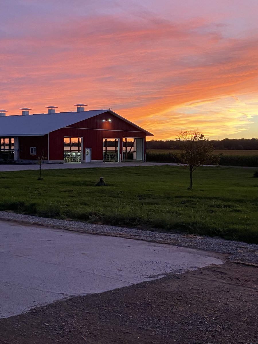 BoersenRoger's tweet image. Not sure what’s going on but there sure are a lot of beautiful sunsets this year.