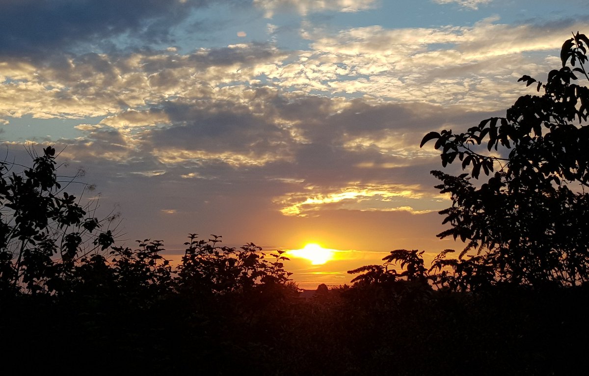 °• bonjour a tous •°
le jour se lève....
matin tendresse 🌷 
☆ bonne journée ! ☆