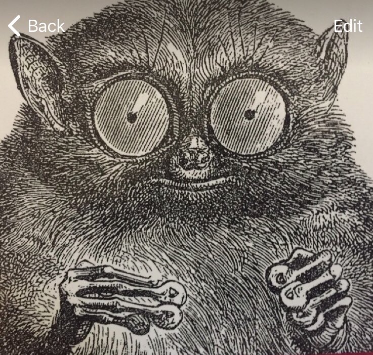 Humor4Sport's tweet image. from someone’s #Telegram account