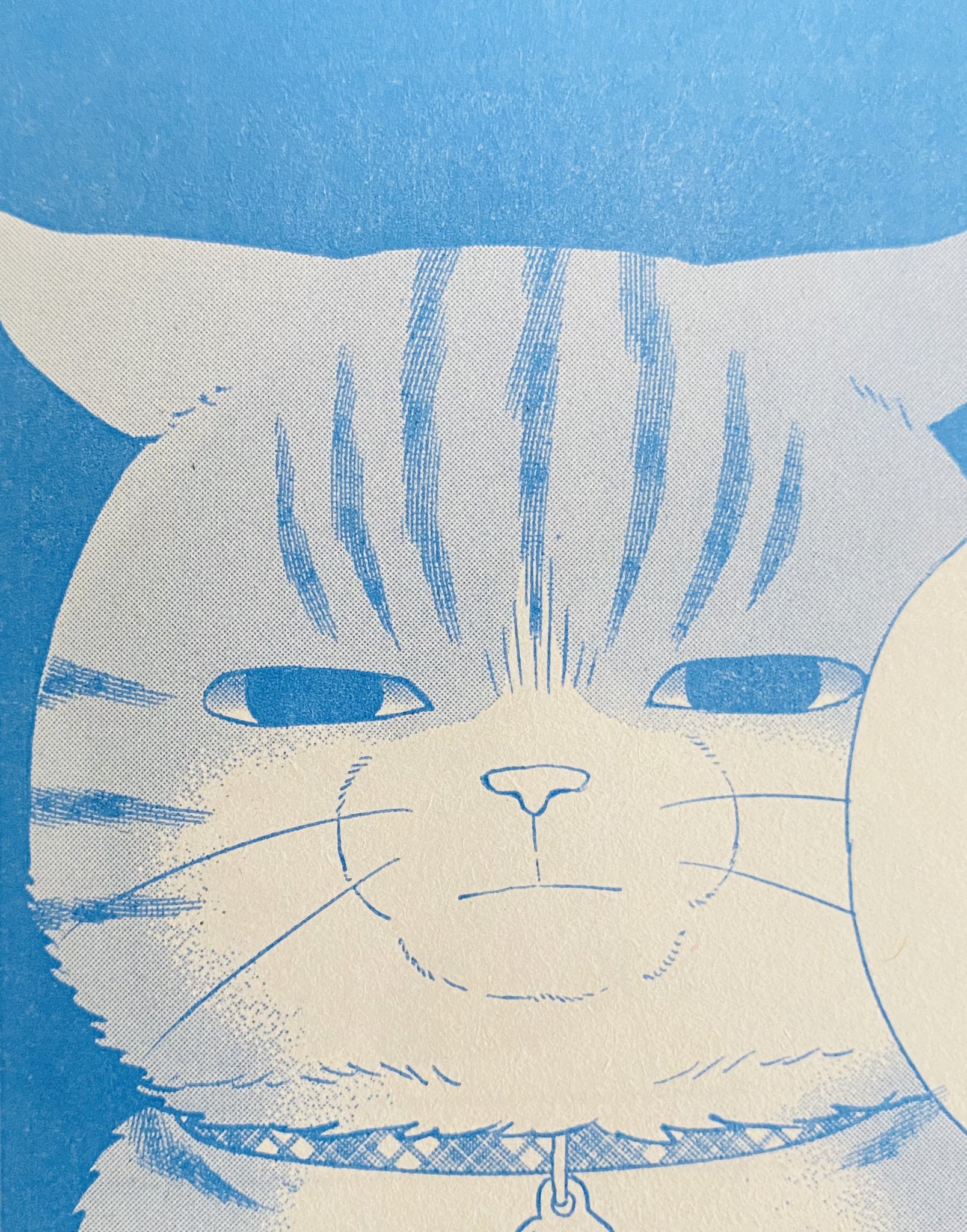 ねこ はじめました公式 Nekohajimeta Twitter