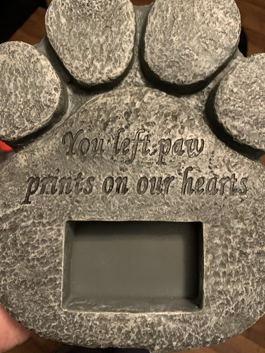 Kanes_Inferno's tweet photo. My managers went all out in helping Heather and I help Banditโs memory live on. They got us the nameplate for Banditโs box, a paw print picture frame, and a blanket with his picture on it. Weโre so very grateful! #RIPBandit https://t.co/g713Znqax1