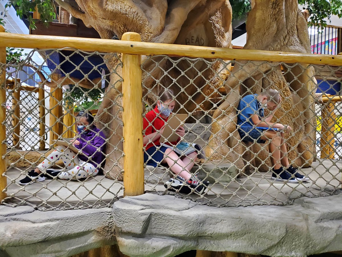 LimerickLeaders's tweet photo. Got out of the class 🌳
#terrellproud #tigerstrong #terrelltogether #treehousefun #4thgrade https://t.co/ZHztqx0ZLA