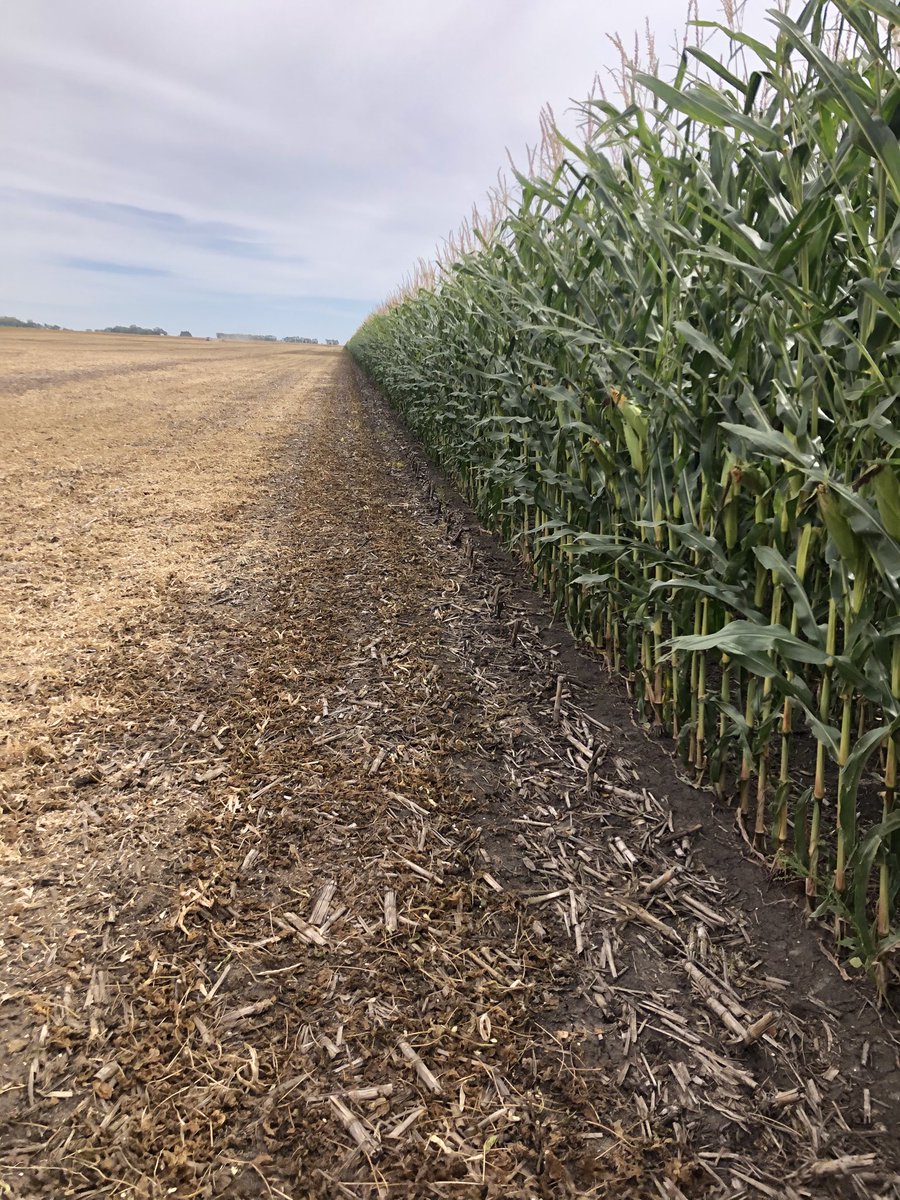 Murray Pritchard tweet media