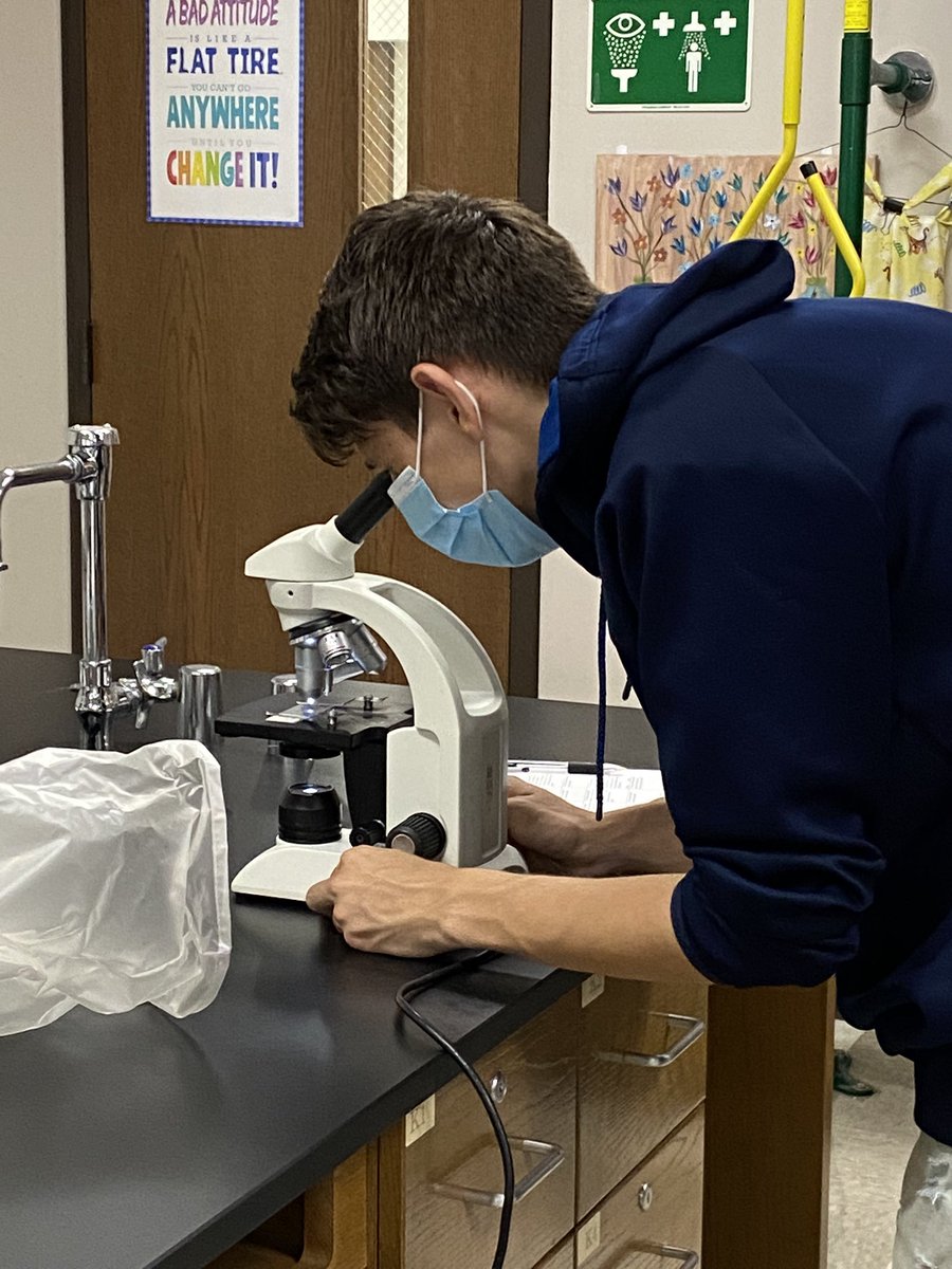 MHeimScience's tweet photo. Biology 2 working on Microscope Scavenger Hunt! #gopherscience #HeimCPBio2 https://t.co/1qPhK0Cb8s