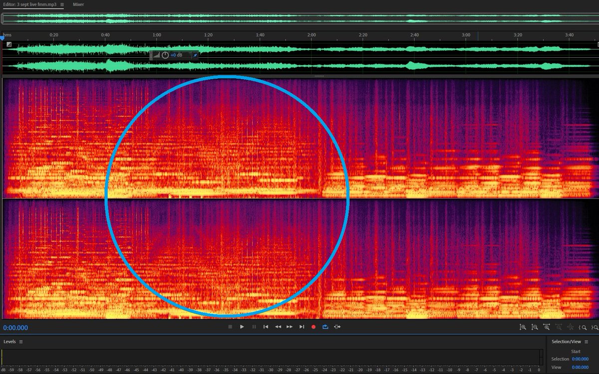 After the dream late night I wrote a new  #fullmoon  #meditation. I usually see this spectrogram when the music is over. There seems to be a big M or some  #angel's wings in the music. Its not very often and plus the crazy coincidences today, there seems to be an angel flyin around