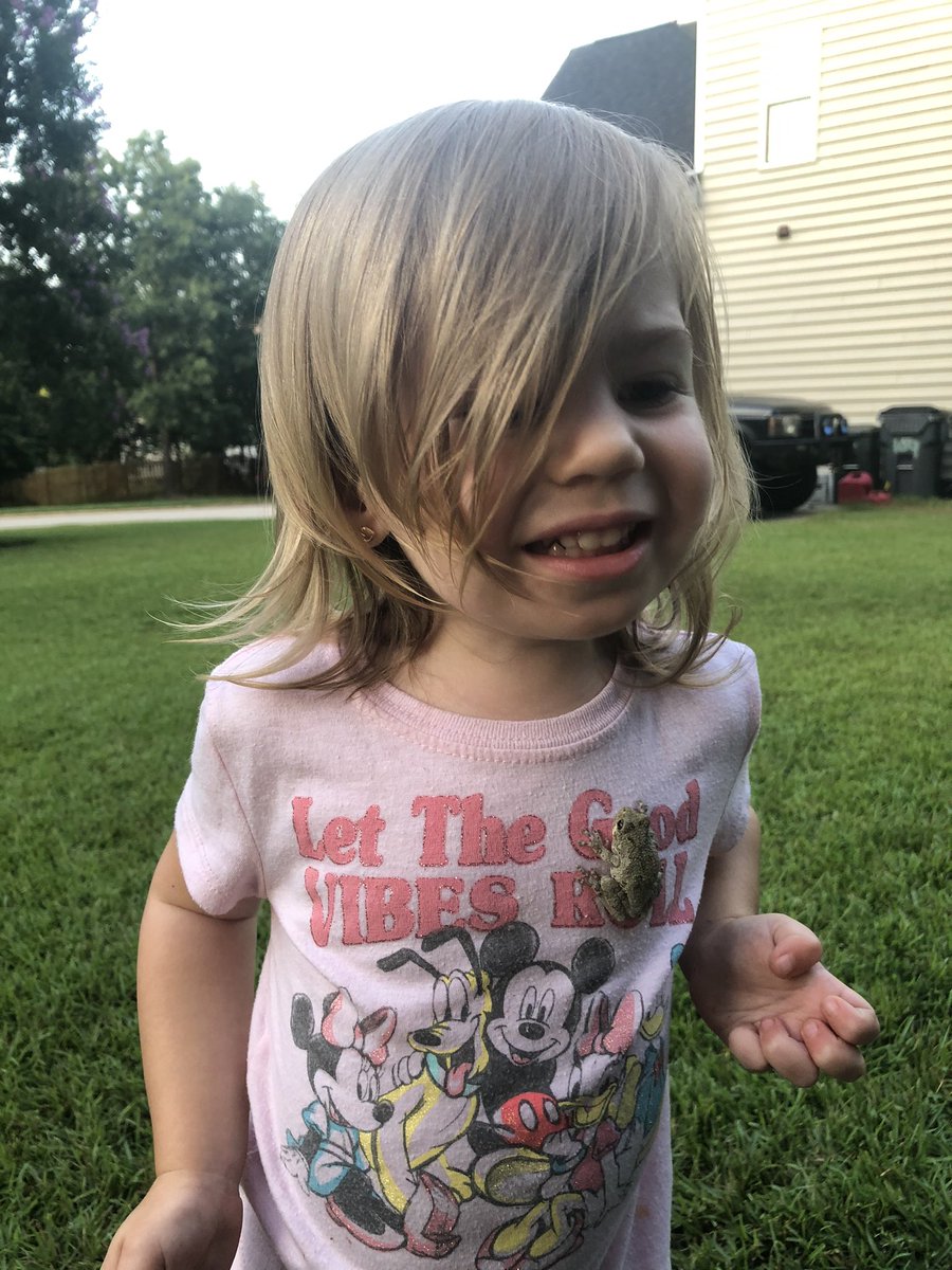 MsJillSLP's tweet photo. @LHECMES We found this little guy had taken up residence in our outdoor patio umbrella Sunday night and he returned for a visit today! Little Miss was equal parts excited and nervous when he jumped on her shirt! #getoutside #whatsinyourbackyard https://t.co/SqnifPANvw
