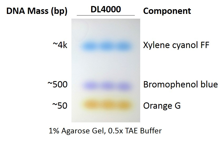 Why would I use this for my moniker!? Well...it always just sounded badass (its initials are OG after all).But it also fits.OrangeG is the best dye that NO ONE uses. Everyone uses dyes that interfere with seeing DNA (e.g. those below). Thus, it is the best, but totally obscure