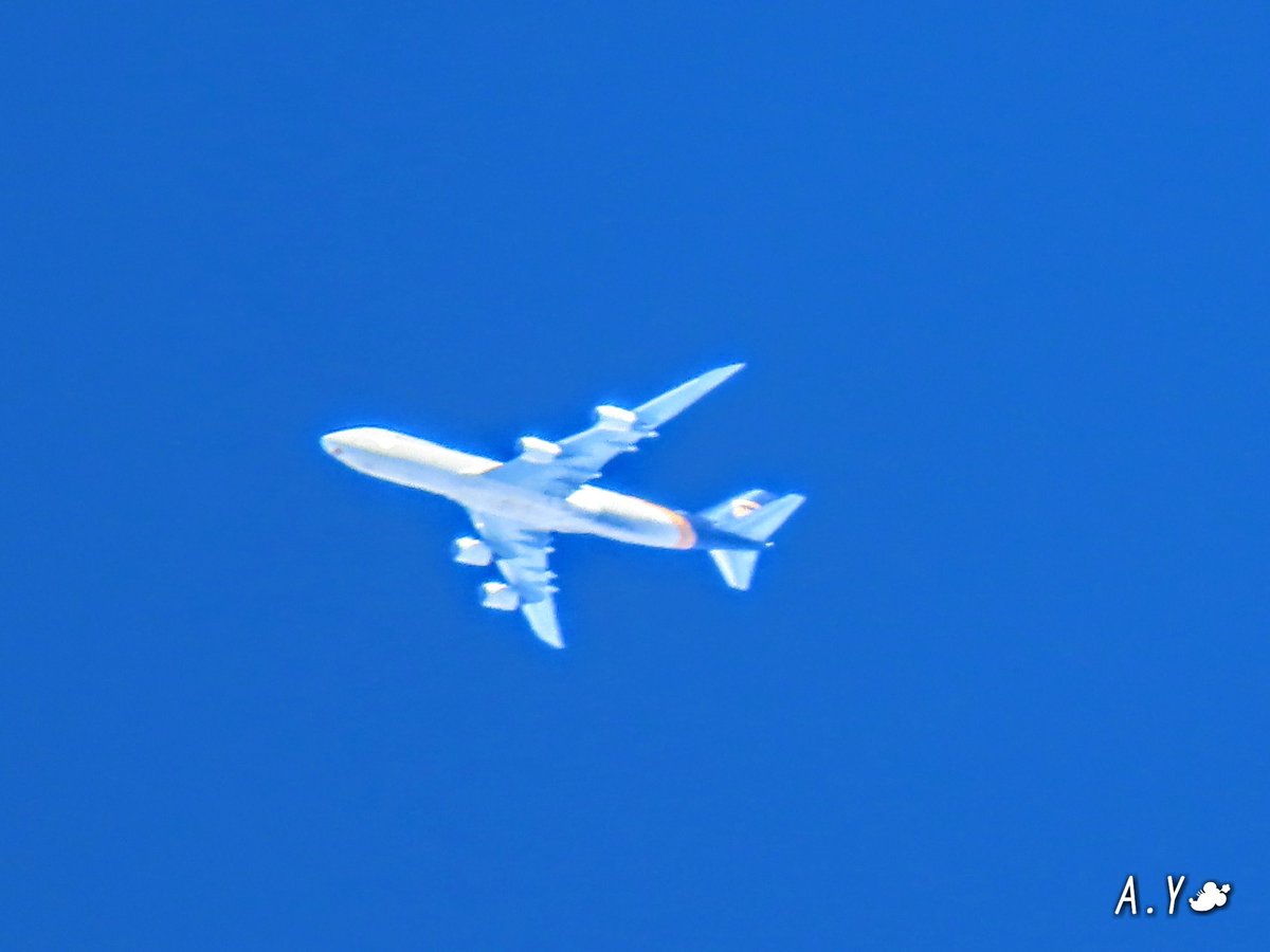 yumeasutw's tweet photo. 青空を行く✈️

モクモク白い雲の間を縫うように、機体を輝かせ快調に飛び行く #飛行機 ✈️✨

#JAL
#UPS
#青空 #bluesky
#空の名前
#a2020 #a0903 #a202009 #a2020091 https://t.co/gvPu5BtVJn