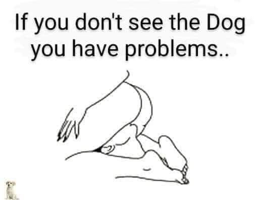 EnlightenedAunt's tweet image. Ok clearly I have a damn problem cuz I don’t see anything that looks like a dog. Cuz tell the truth...there isn’t one! Is there? 🥴🤷🏻‍♀️🤣🤣 

#iHaveProblems