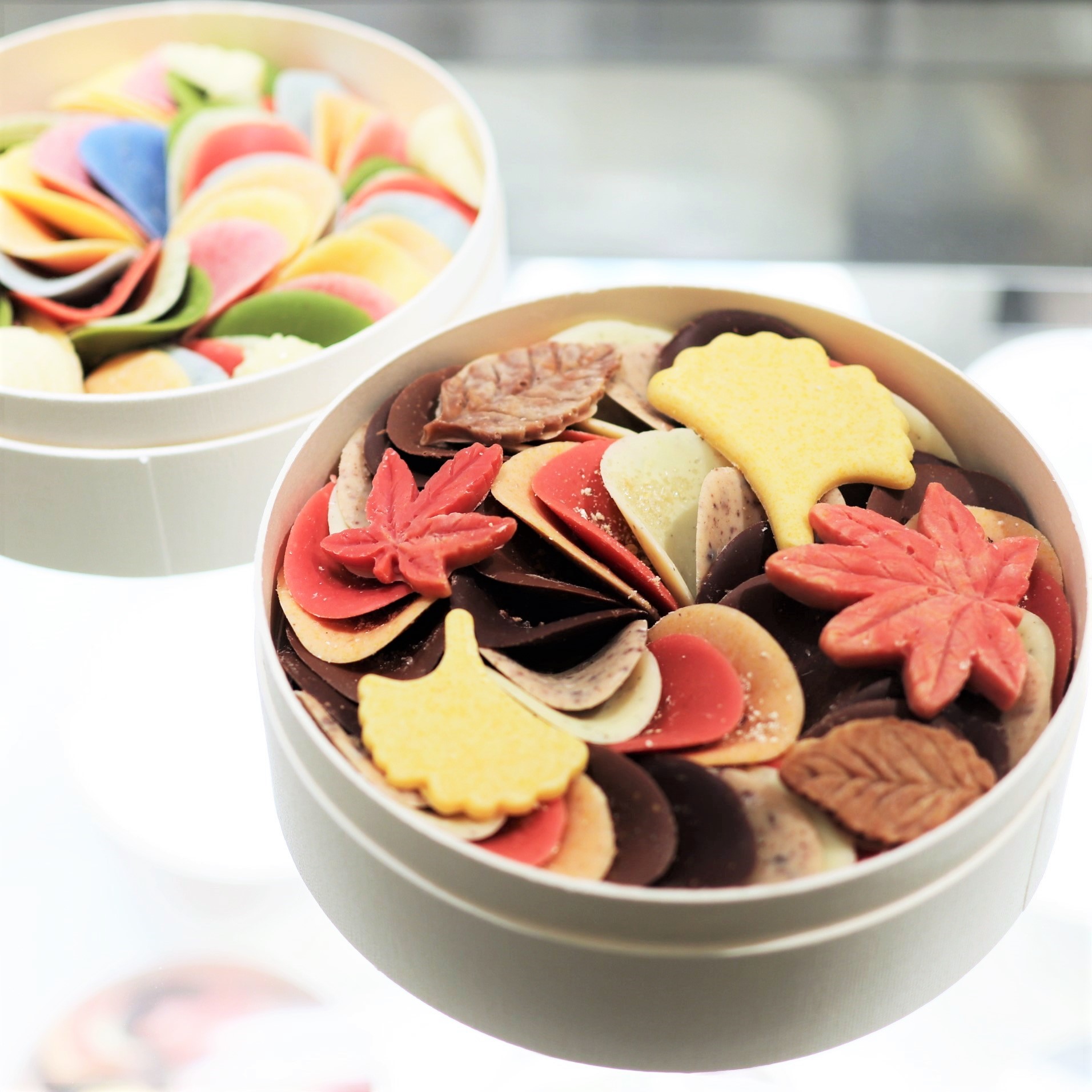 伊勢丹グルメ Isetan 色とりどりの花びらをかたどった Shodai Bio Nature のチョコレートは美しく可憐 贈っても贈られても 嬉しいですね ペタル 花びら チョコレート T Co Zakmvn8llh Twitter
