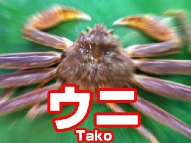@lomiel0417 貼らないと行けない気がした 