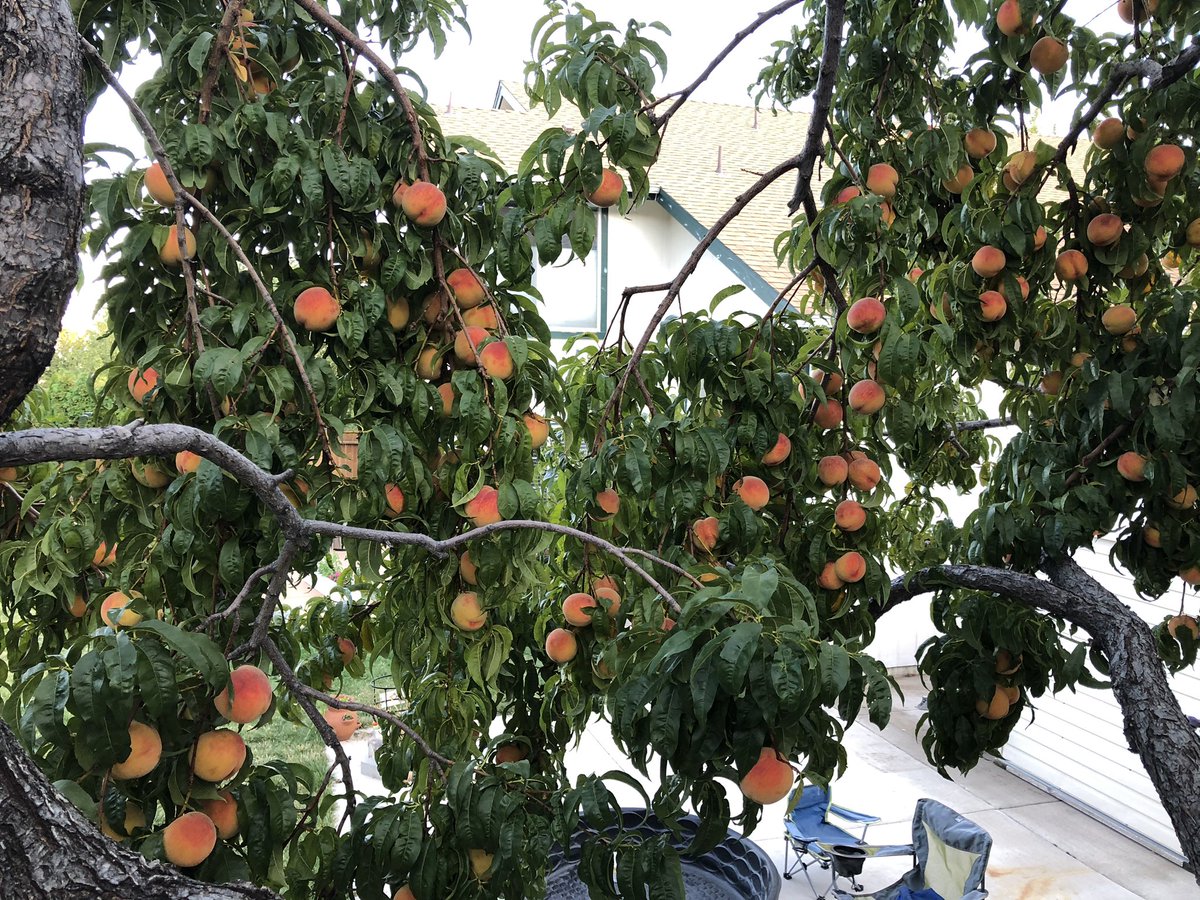 Mark Lescroart tweet media