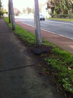BallybodenTT's tweet photo. This sign on #Ballyboden Rd is unstable &amp; really dirty. We have asked @sdublincoco as have Residents &amp; through Cllrs to remove it before it falls - ongoing 3 yrs. If it fell on a 🚴‍♀️🚶or 🚘 it could cause life threatening injuries. @SouthDubCycling @DublinCommuters @glendoherpark https://t.co/UOTLvtprNa