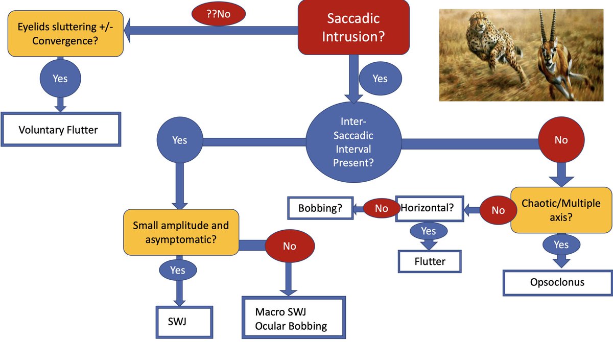 Dissecting saccadic intrusions...