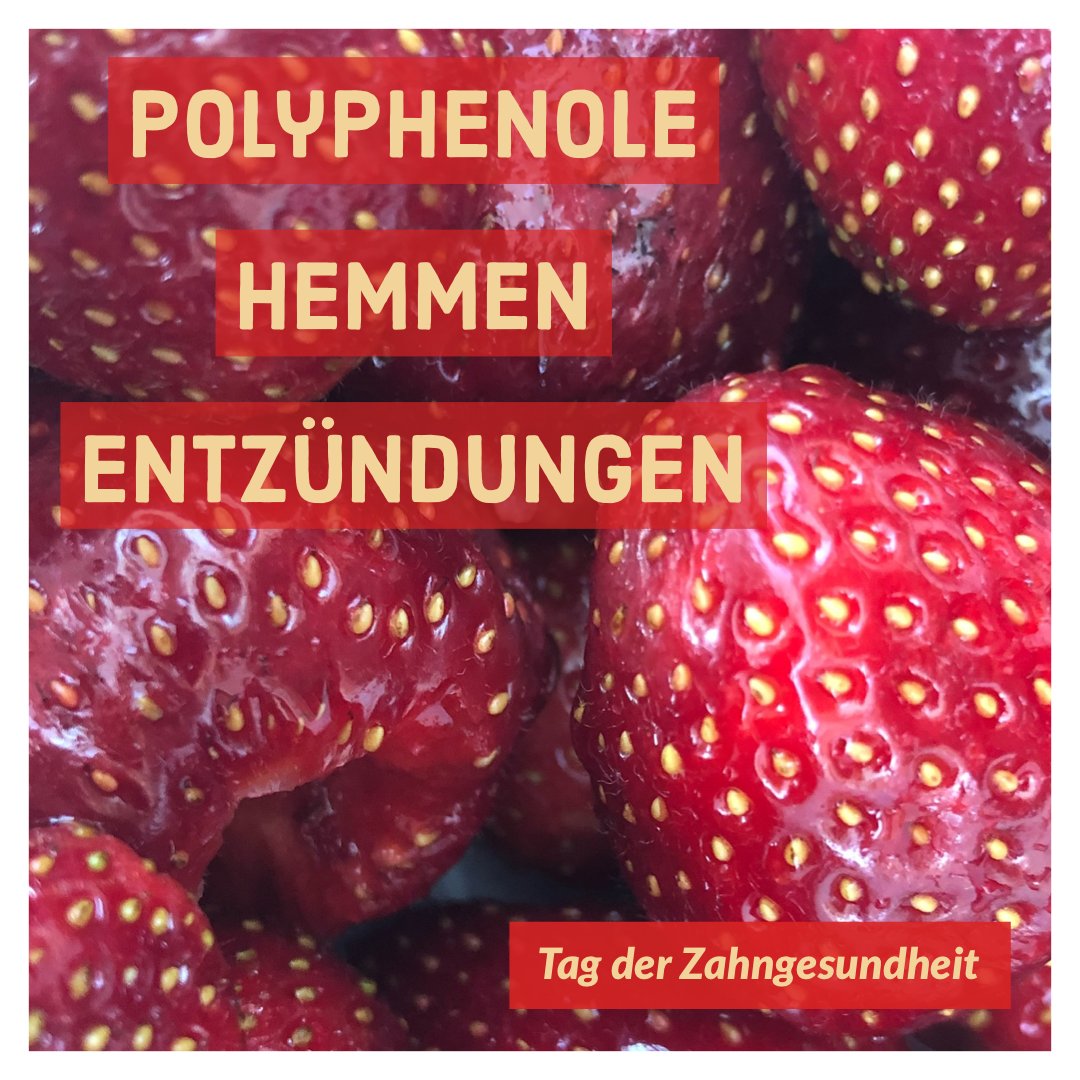 proDente's tweet image. Einige späte Sorten gibt es noch. Und auch diese Erdbeeren hemmen durch Polyphenole Entzündungen. #Erdbeeren #Polyphenole #Mahlzeit #TagDerZahngesundheit #TagDerZahngesundheit2020 #TdZ2020 #GesundeZähne @tdz2509