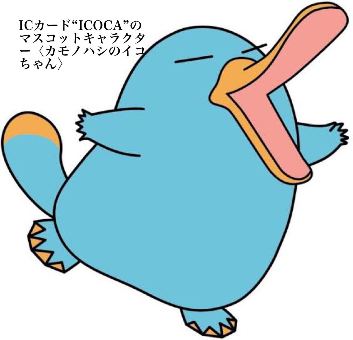 よねまる ふと思ったけど あひるポケモン ことコダックってアヒルじゃなくてカモノハシだよね T Co Aq0smpskhi Twitter