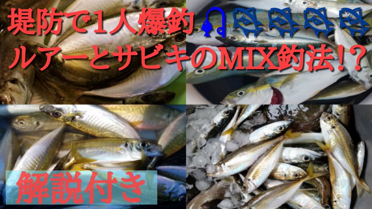 遠投サビキ 遠投サビキ