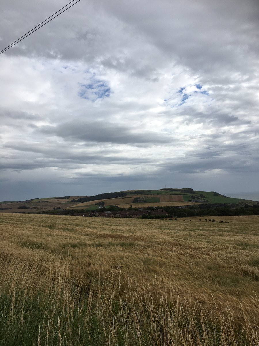 Andrea Watt tweet media