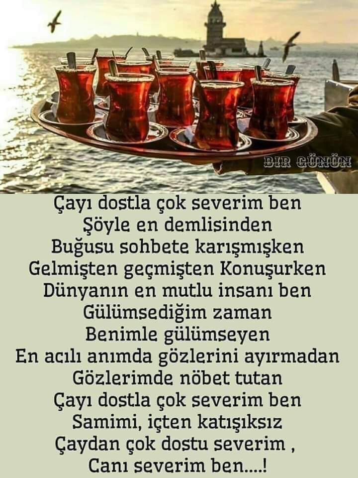 Günaydınlar #cumartesi #enbüyüktürkATATÜRK#sağlıklıgünlerdilerim#corona #EvdeKalKitapOku #istanbulsozlemesiyasatir #AtatürküSevmekŞereftir#hayvanaşiddetsuçtur