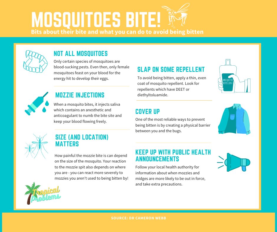 tropprobs_au's tweet photo. Culex annulirostris is the most common biting mosquito in the NT and bites people, birds and other animals around dusk. Here's an infographic of 3 mozzie facts, and 3 ways to avoid bites (full video at https://t.co/IBARDtrg9P)! https://t.co/AQoiyRtJKN