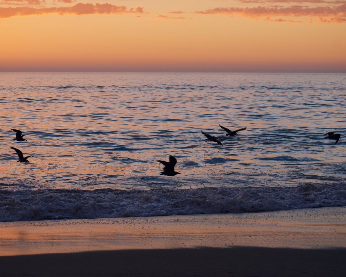 hey everyone! now that we’ve had a day to take in the escapism chapter, i thought i would time contribute my interpretation in the form of this thread (enjoy this shot of birds i took during my second part of my folklore-inspired shoot)