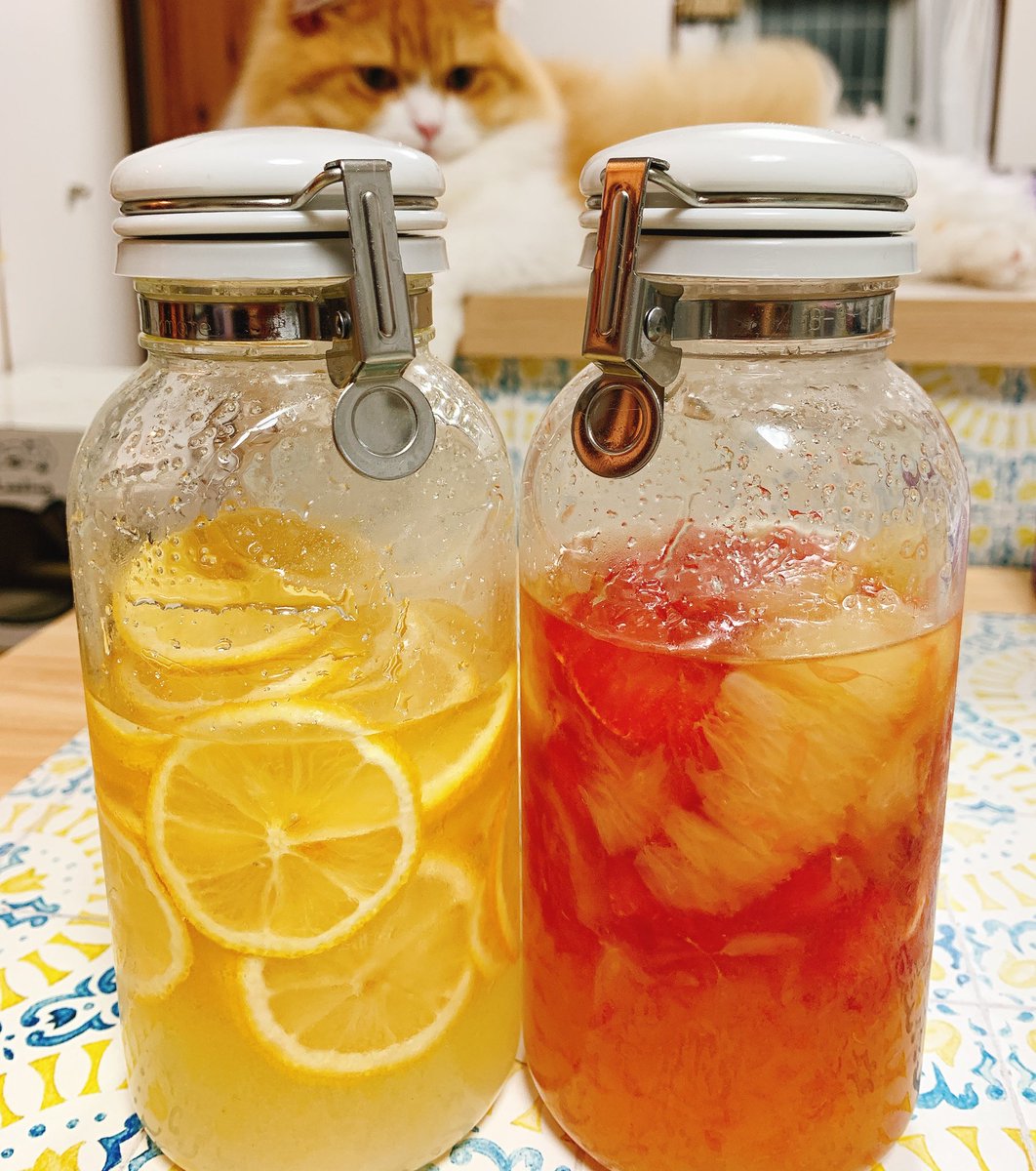 なぎ 夏バテ予防にフルーツシロップをつけてみました レモンにははちみつ グレープフルーツにはメープルシロップを少し混ぜてみたのですが 美味しくなるといいなあ