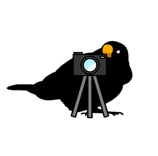 ハイチーズの日のtwitterイラスト検索結果 古い順