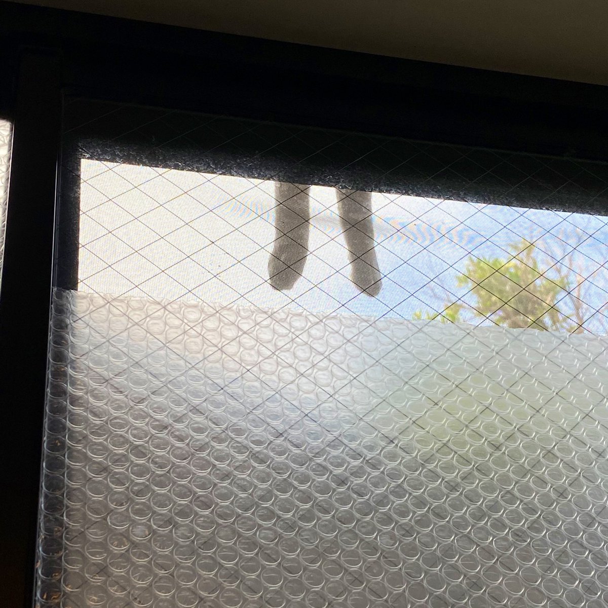 エアコンつけっぱなしのお家のここが涼しい 気づいた猫さんのお昼寝スポットになって足がぶら ん 脚の数が増えていくかも Togetter