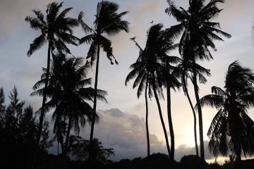 PicturesSomali's tweet photo. One of the most beautiful cities in SOMALIA. 
Janaale town , south west state of SOMALIA. 
Look pictures below. 
@M_Farmaajo .
@tourism https://t.co/4sfYMf1brV