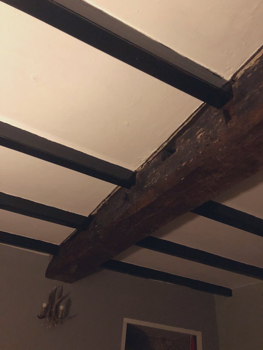 Dr Cat Scutt MBE tweet media