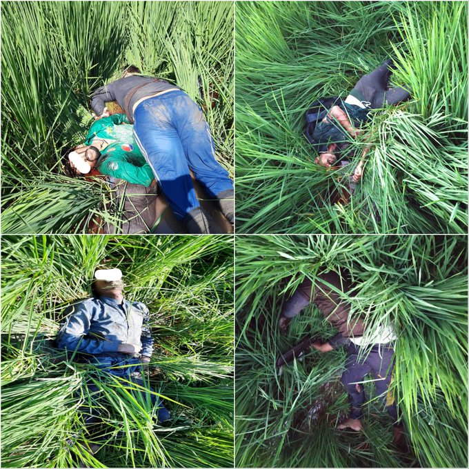 CENTRAL ARMED POLICE FORCES OF INDIA. tweet media