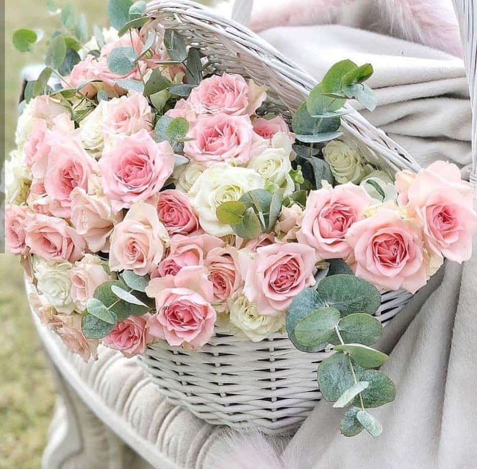 صبحتكم بازهار الفل والياسمين والقرنفل الزين وباقة ورد فواحة بعطر بلاد المغرب والمشرق الباهيين، ونقلكم راكم في القلب ساكنين، ربي دومها عشرة طيبة، ويحفظكم من كل سوء وشر ويسهل طريقكم واعمالكم 
نحبكم بزاف بزاف وياسر ياسر