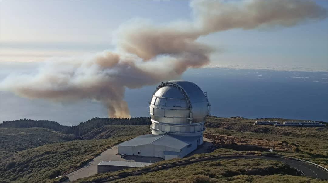 Ánimo a nuestros PALMEROS⚜⚜