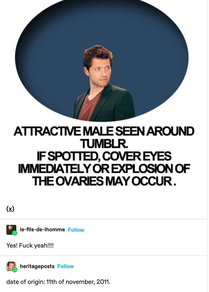 i found a blog called "heritageposts" thats reblogging tumblr posts pre-2016. its fucking chilling