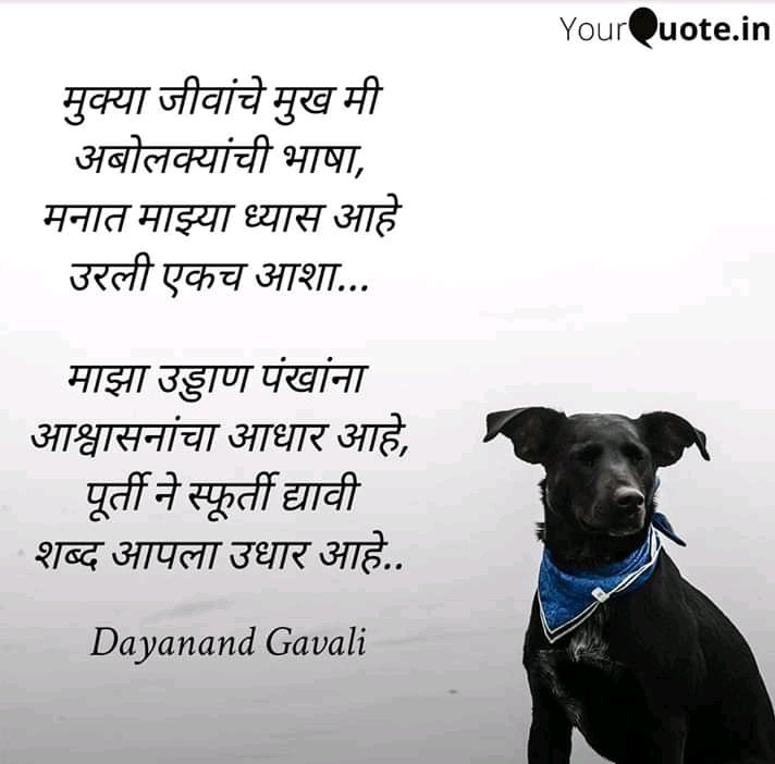 Hrishi96173243's tweet photo. #IncreaseInternshipAllowance 
@Dept_of_AHD 
@girirajsinghbjp 
@drsanjeevbalyan 
@DrMohanBhagwat
@CMOMaharashtra
@AjitPawarSpeaks 
@SunilKedar1111 
@bharanemamaNCP 
@Dev_Fadnavis 
@mipravindarekar 
@MiLOKMAT https://t.co/A2l7DmvnBY