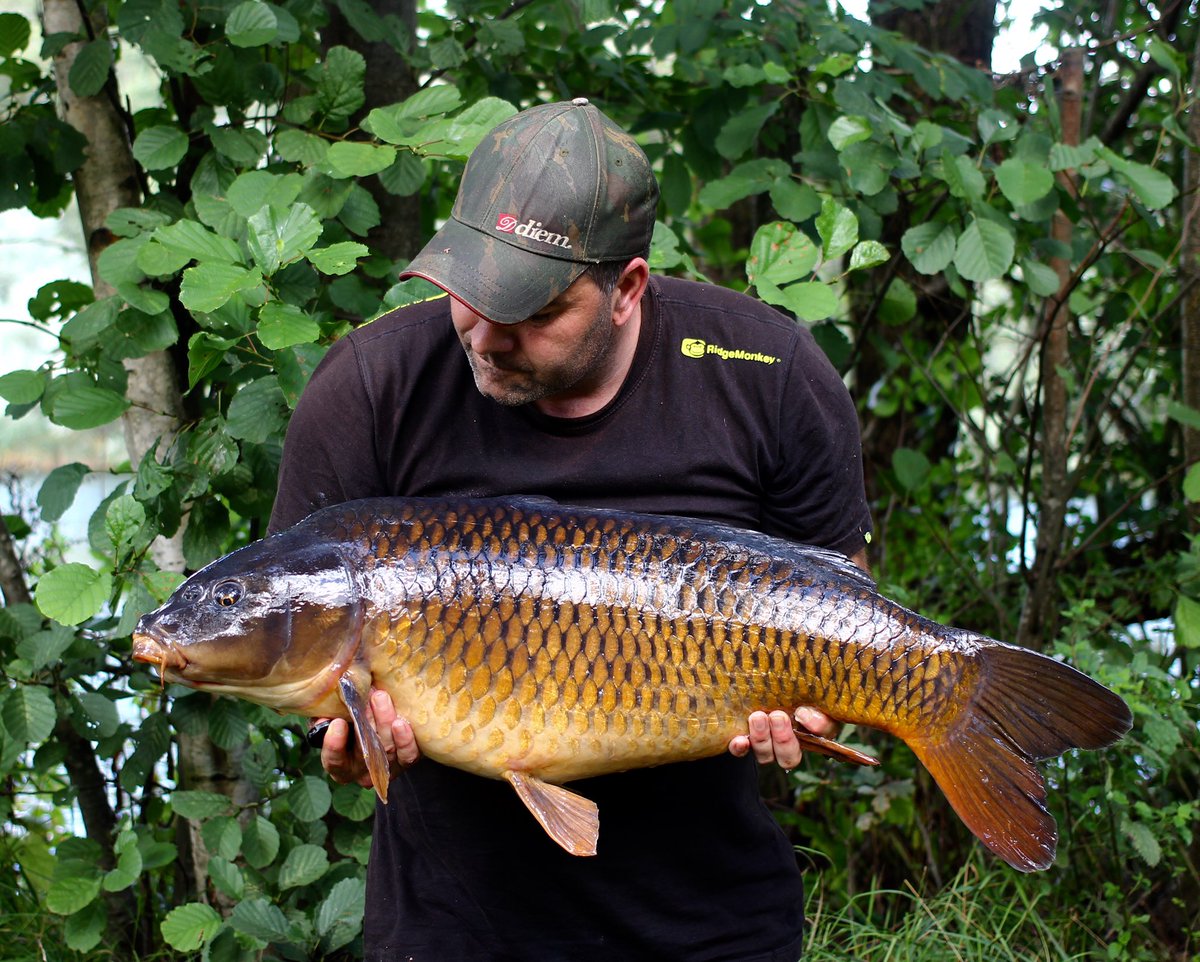 littleE70's tweet photo. Cracking 28lb common caught  on a day session fishing over chopped up @MainlineBaits cell &amp; tigernut spod mix https://t.co/JIH5gEgG3f