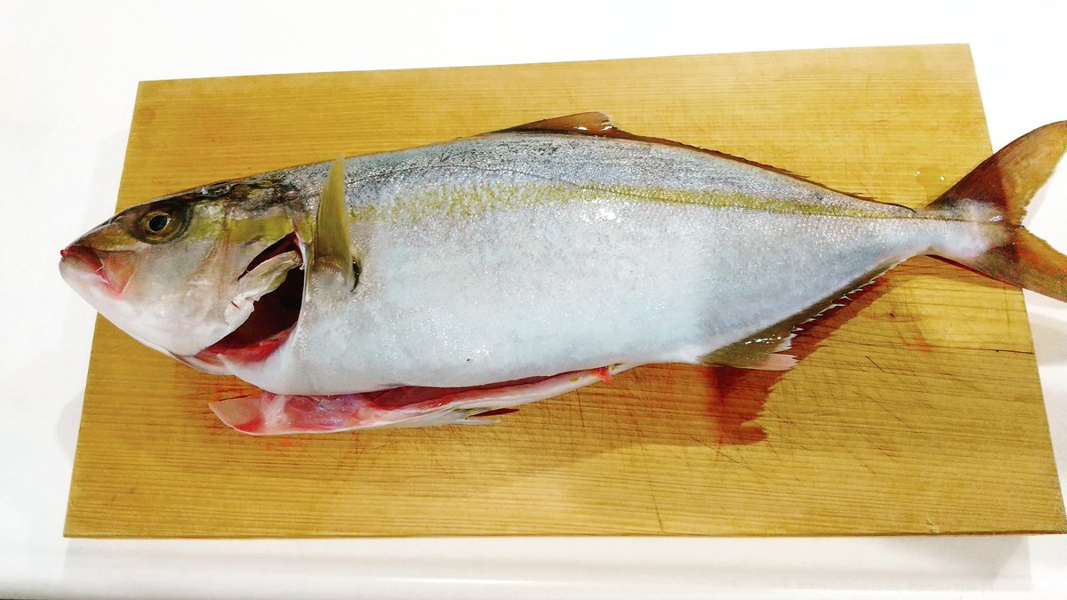 Hashtag カンパチの子供 Auf Twitter