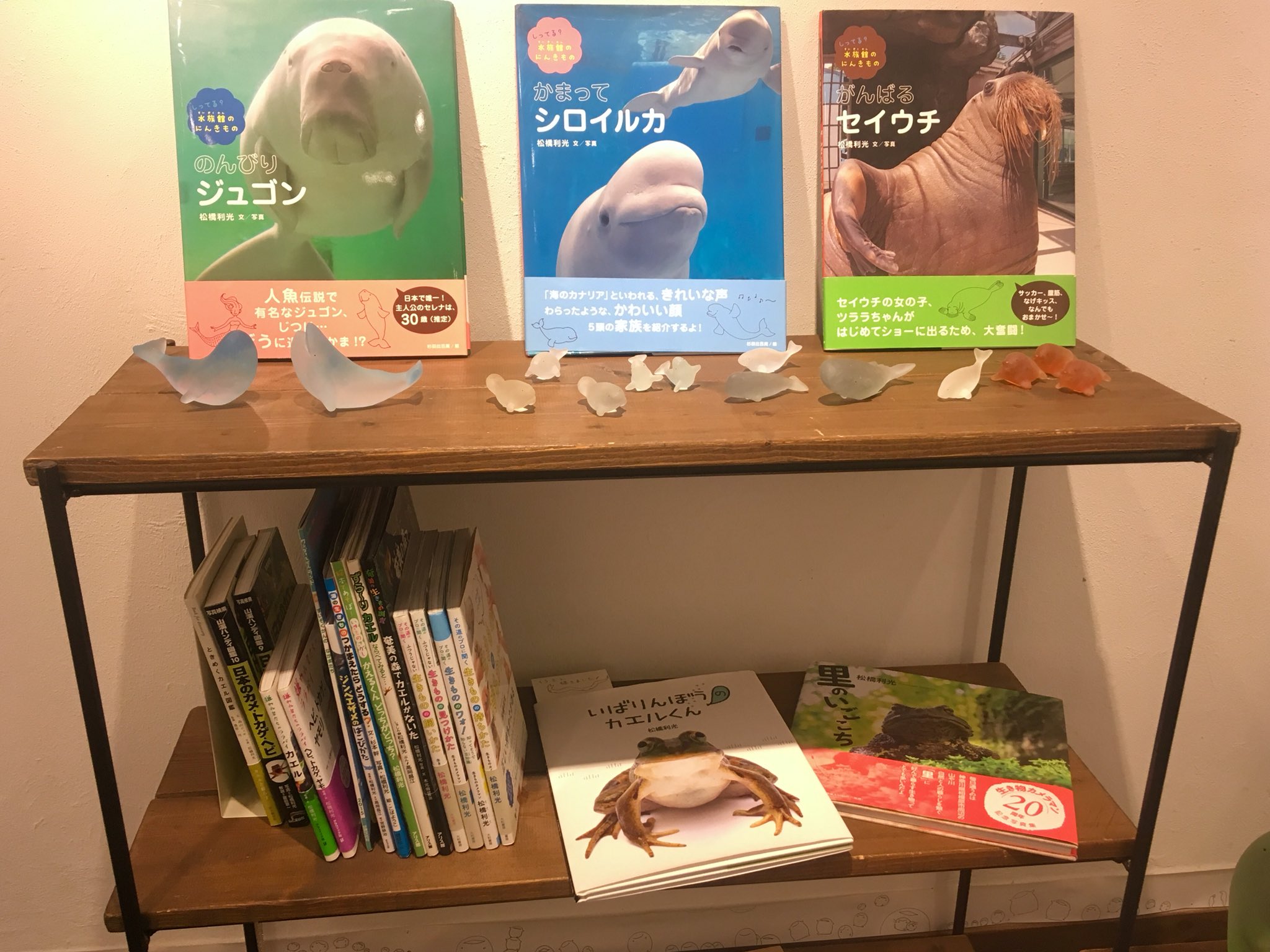 かがみ 北近江サケグラス公募展 滋賀 11 7 A Twitter 会場には生きものカメラマン 松橋利光 さん著作の書籍を 置かせていただいてます その道のプロに聞く 生きものの持ちかた をみたら こんな おきゃくさんが 飛び込んできても安心です笑 おとも ガラス