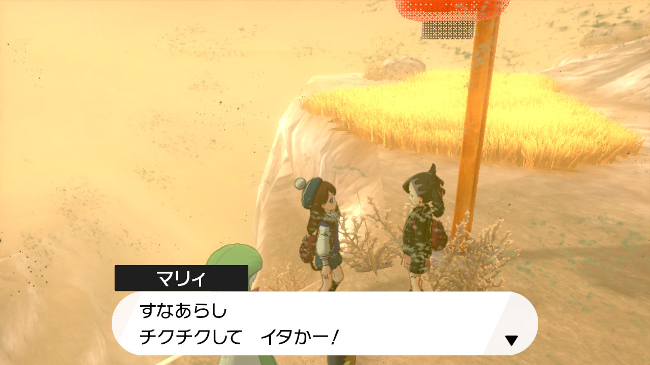 きっしー ポケモン剣盾 Nintendoswitch 砂嵐痛がってるマリィ可愛い T Co H2rksoinjg Twitter