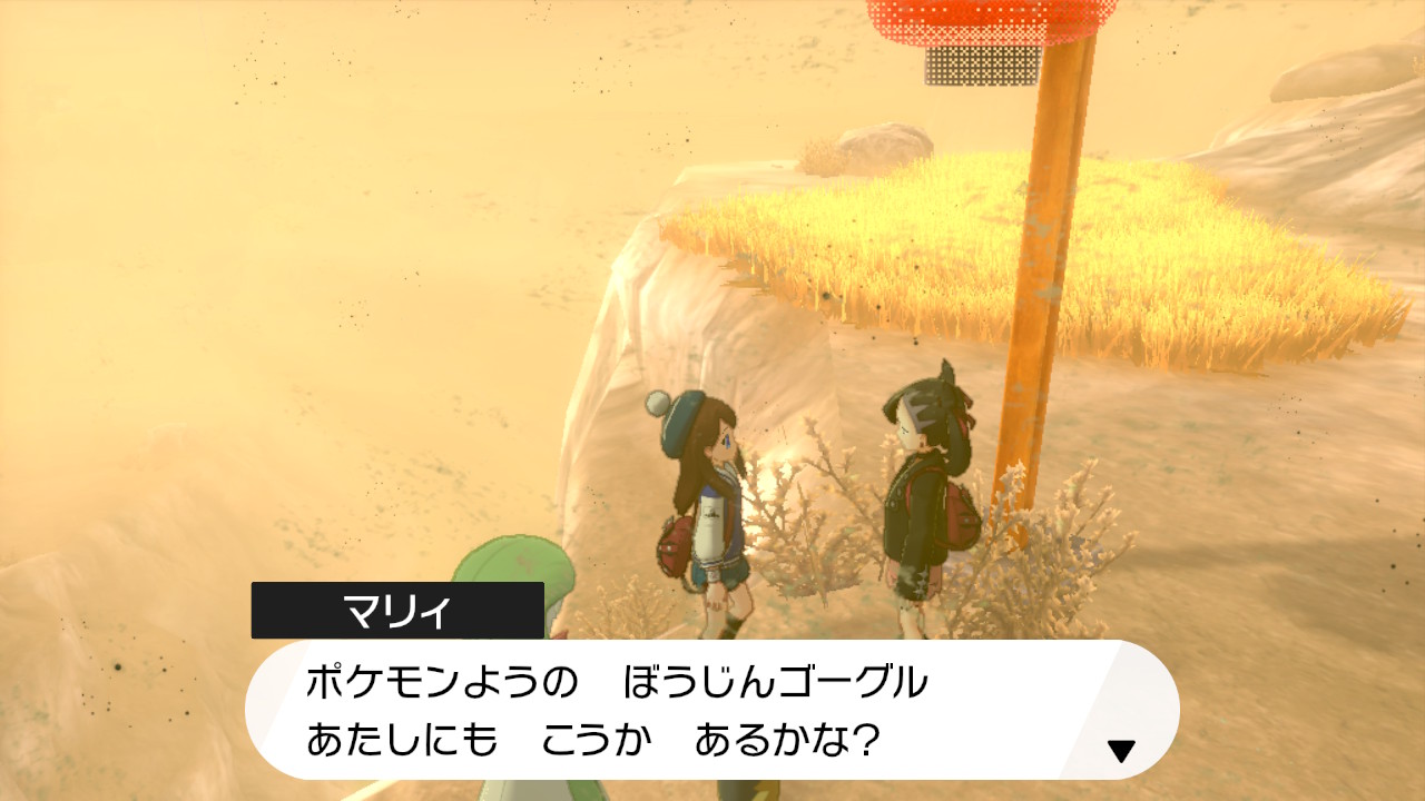 きっしー ポケモン剣盾 Nintendoswitch 砂嵐痛がってるマリィ可愛い T Co H2rksoinjg Twitter