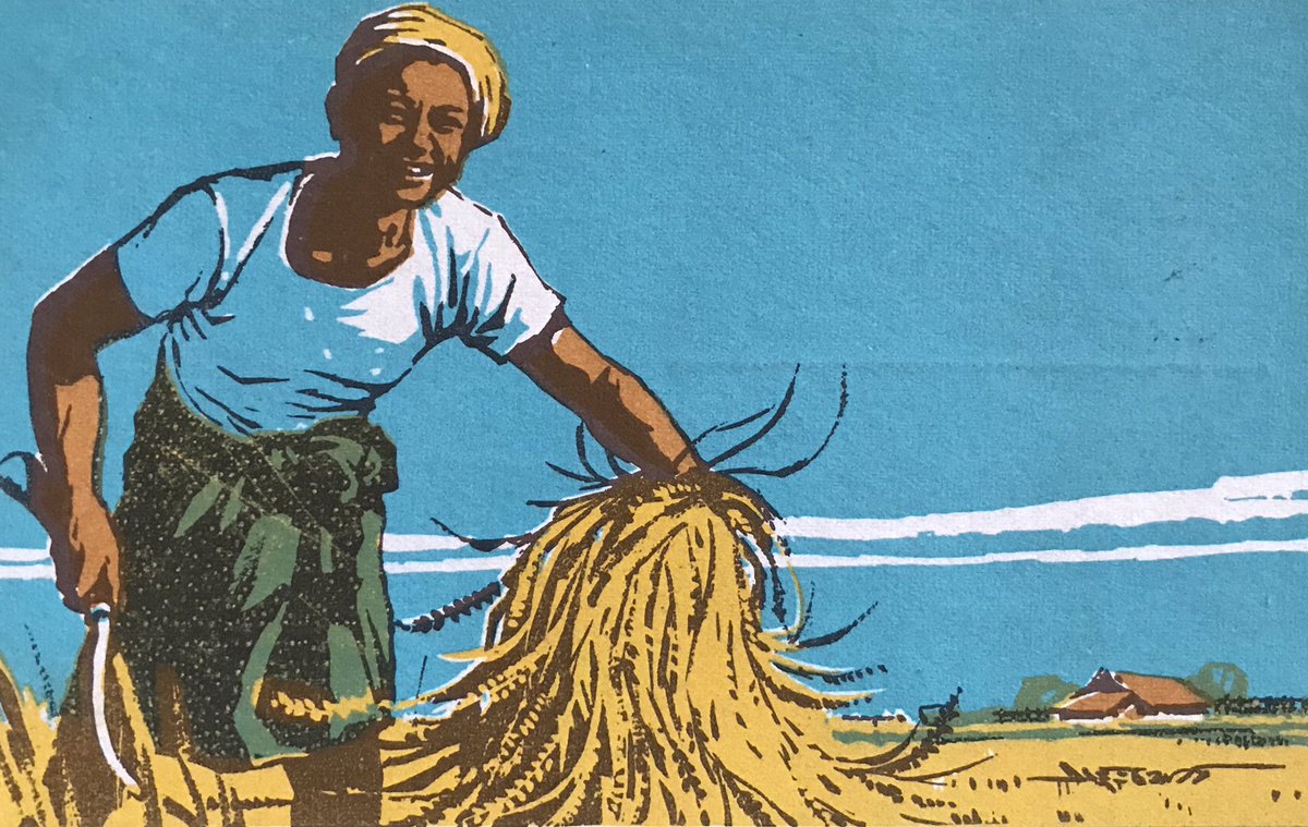 Postcard Peek tweet media