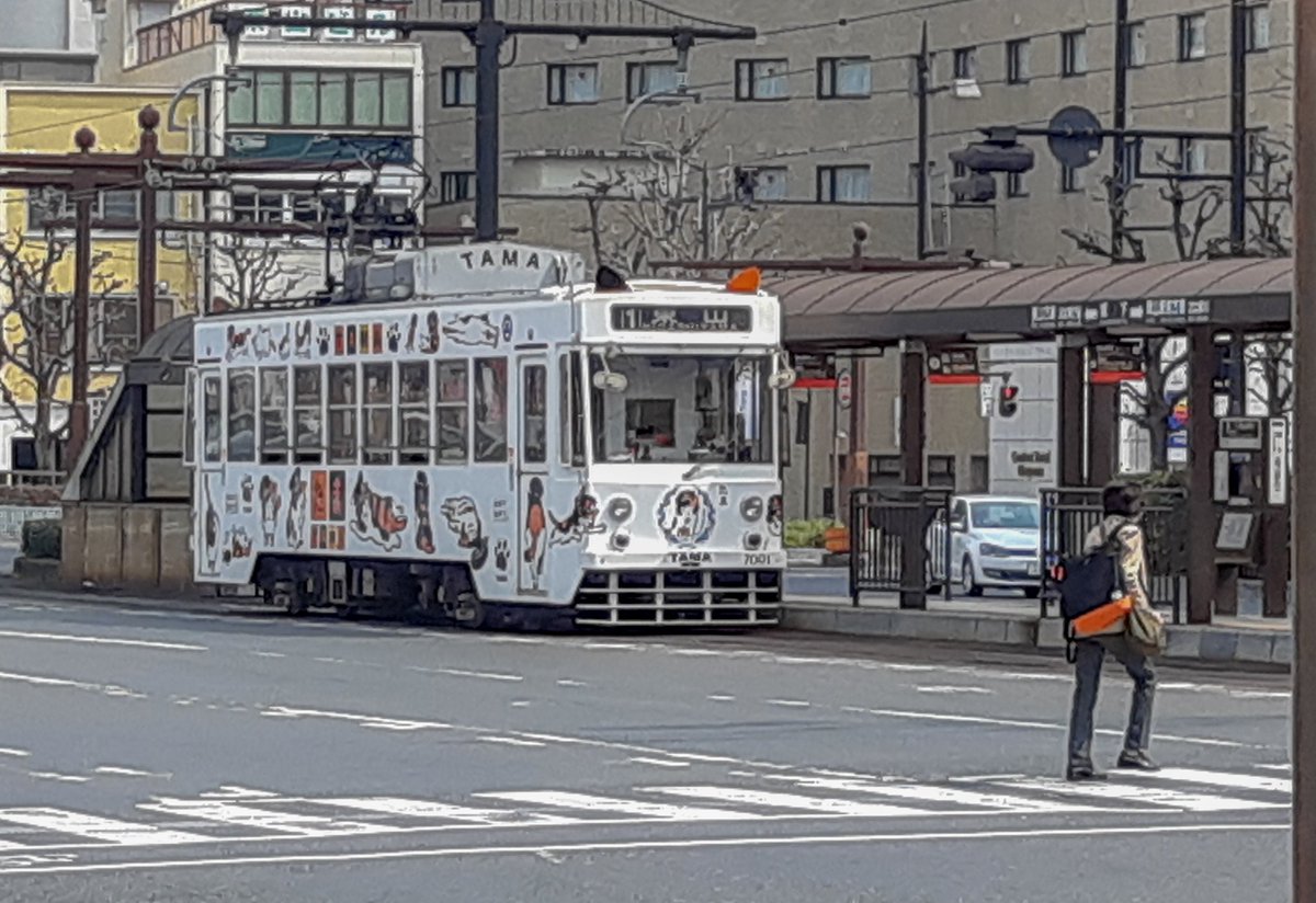Directoajapon's tweet photo. Hoy es el día del #tranvía en Japón, y ha sido inevitable recordar los diseños tan molones que vimos en nuestra visita a #Okayama 🚋
#streetcar #tramday #Japón #Japan https://t.co/RUf3TkSkaQ