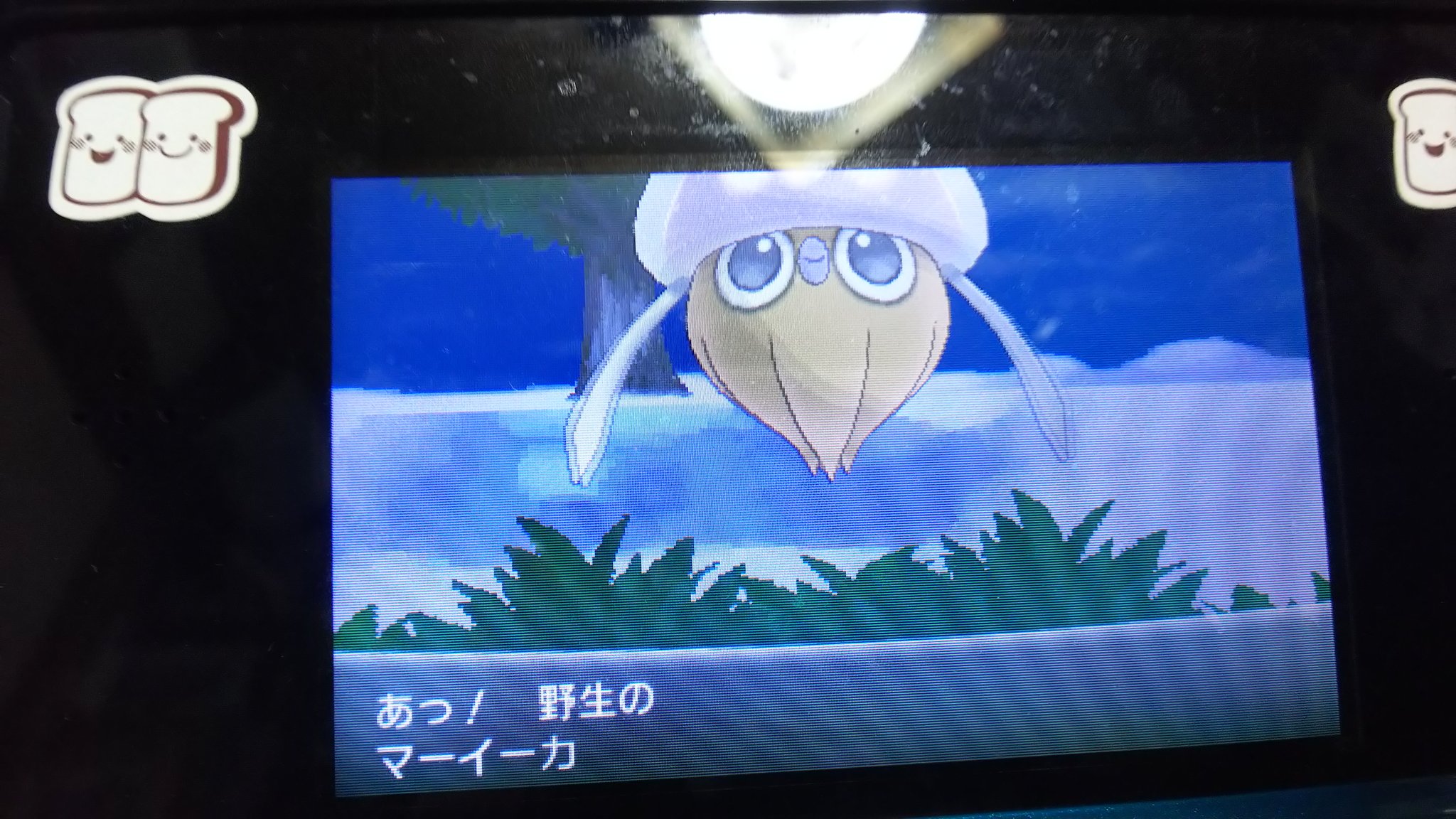 アリュ アズール湾の色違いイカちゃん マーイーカ ゲット ポケモンxyでアズール湾ってのがあって ほへ ってなってた 2匹目の色違いマーイーカ 嬉しいー T Co Kqvnnitbjl Twitter