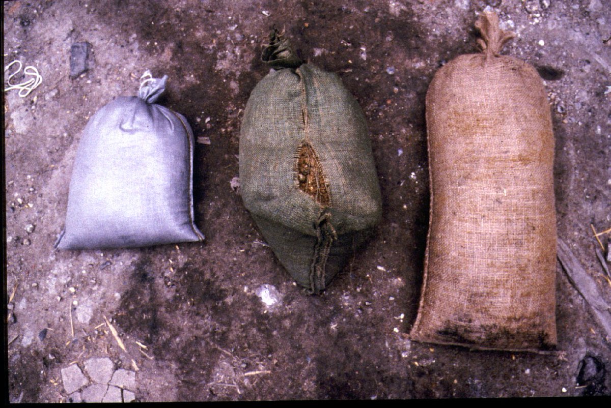 Testing them. Left: strong but too impervious = sand/lime mix never hardens. Middle: Hessian, decays too quickly = mix falls out. Right: final version, open weave plastic, lets rain in to harden mix before decaying decay..2/4