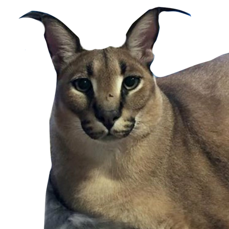 a thread  https://twitter.com/hugeballsnation/status/1297166024307949568