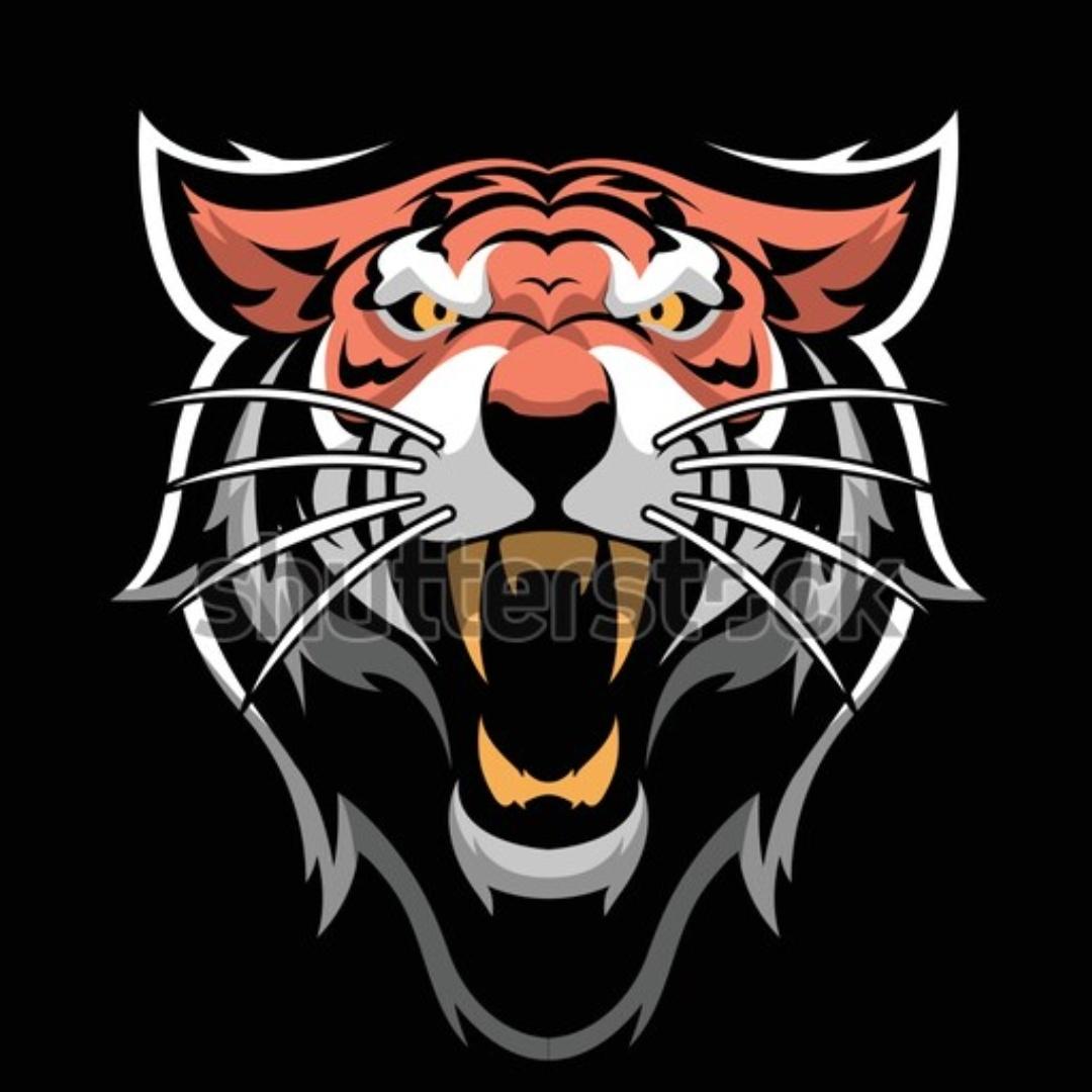 tigerr83515266's tweet photo. #NewProfilePic https://t.co/C1Y23Cso5j